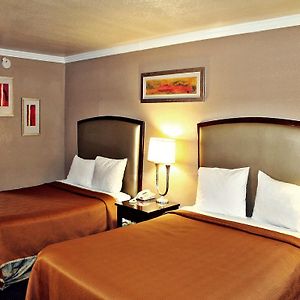Double Room Two Double Beds